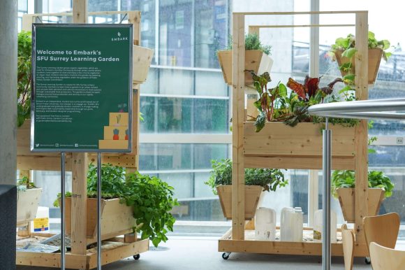 photo of embark's indoor gardens
